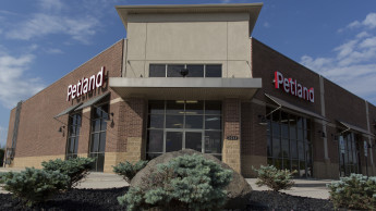 Petland leads the way