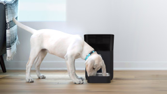 Smart-tech products for pets reach high sales