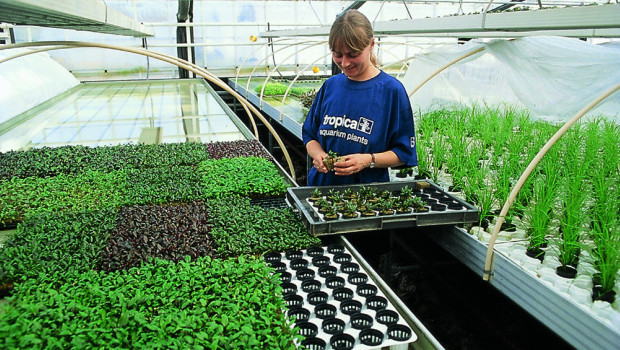 Guided tours of the greenhouses will also be offered at the open day.