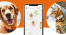 GPS-Tracker for dogs and cats