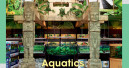 Focus on aquariums products