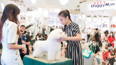 Ample opportunities in China's pet sector