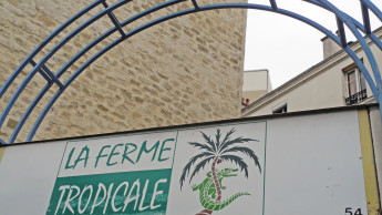 A reptile paradise in France