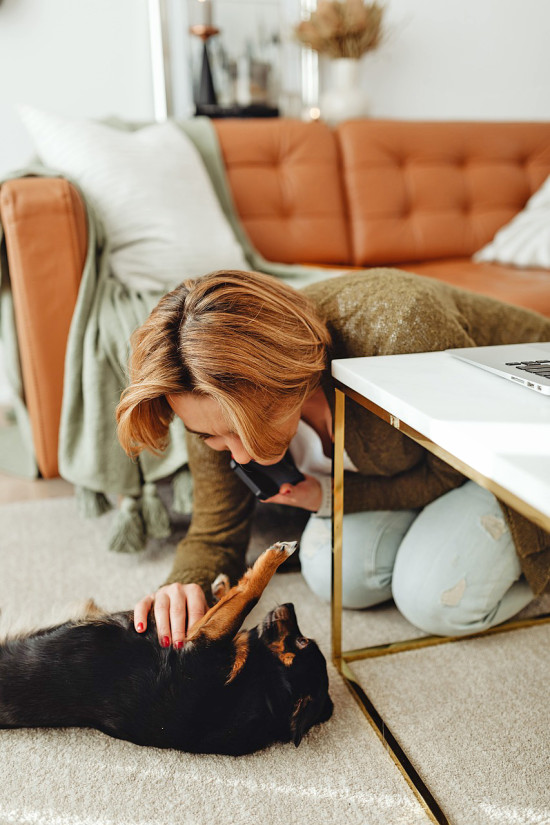 Pet owners and their pets live in close proximity, making health all the more important. 85 per cent of pet owners believe that proper nutrition and supplements are as important for their pets as they are for themselves.