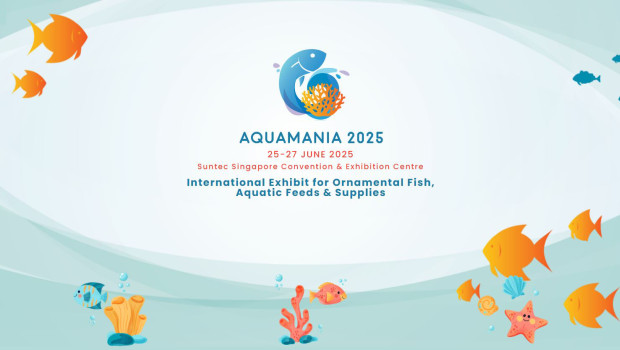 Aquamania 2025 is an emerging international platform for ornamental fish and aquarium industry professionals.