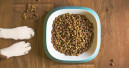 Strong growth in direct pet food sales