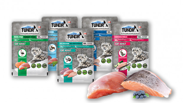 Tundra petfoods clearance