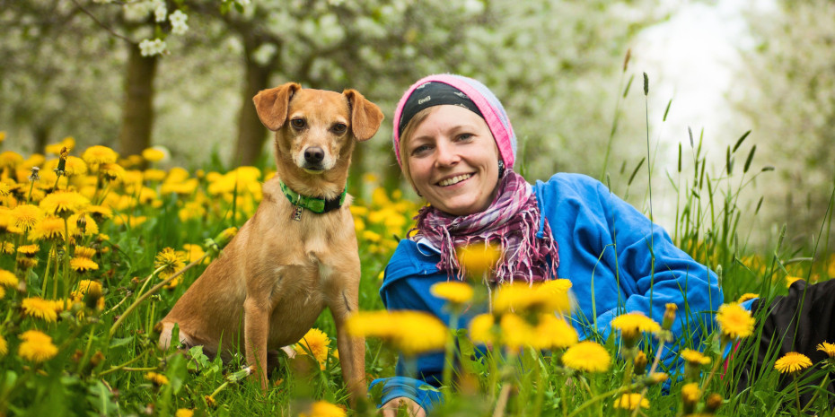 The love of pets is widespread  in the Netherlands.