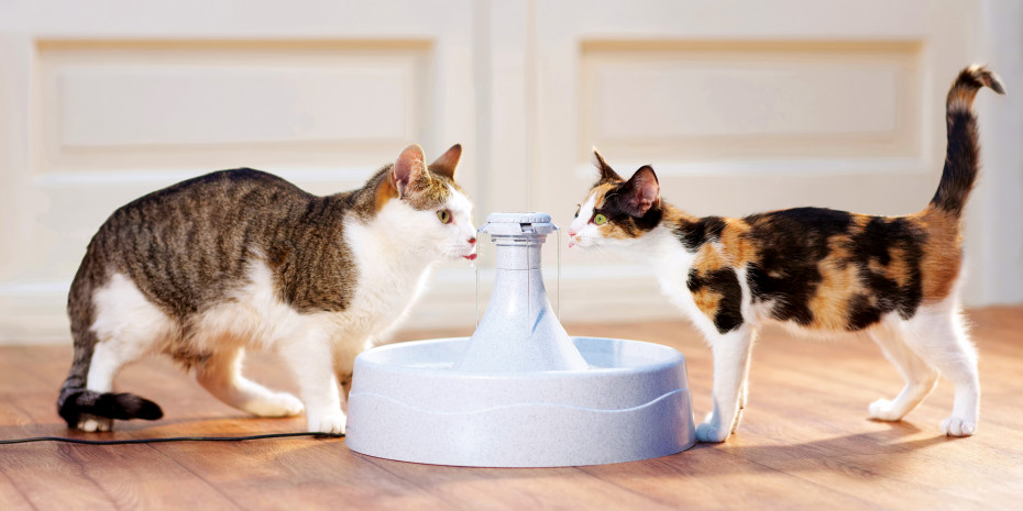 PetSafe, Hydration for pets