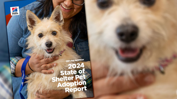 The "2024 State of Shelter Pet Adoption Report" from Hill's Pet Nutrition.